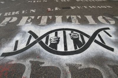 בדיקת סמני DNA