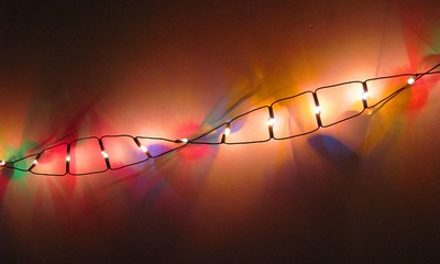 גילוי מבנה ה-DNA