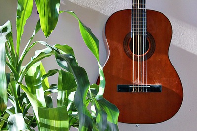 צמחים ומוסיקה