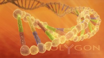 ריצוף הגנום האנושי
